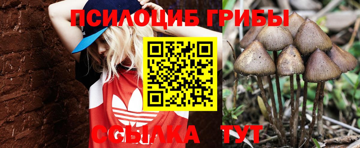 Галлюциногенные грибы MAGIC MUSHROOMS  Псилоцибиновые грибы мухоморы  Рузаевка  Вход с VPN 