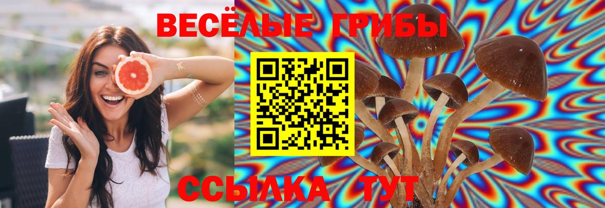 Галлюциногенные грибы мицелий Рузаевка